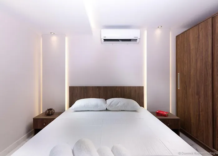 Seashore Stream 알리케스